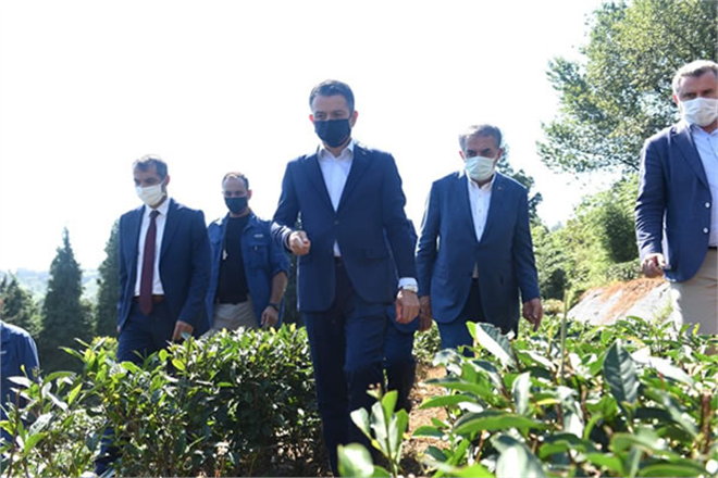 TARIMSAL DESTEK ÖDEMELERİ BUGÜN HESAPLARDA