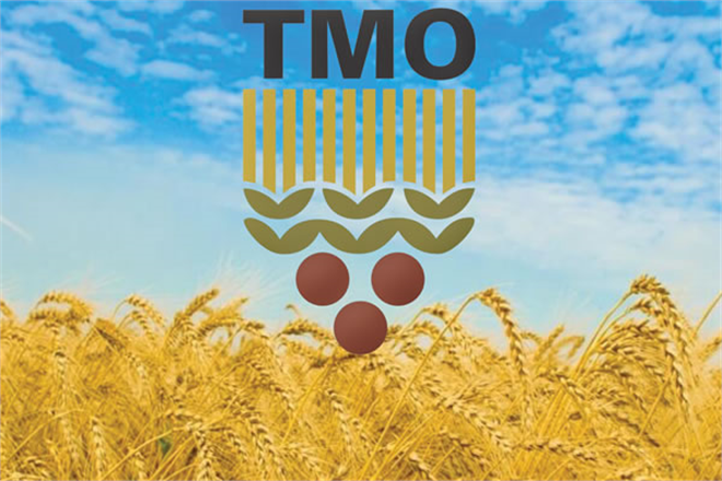 TMO HUBUBAT VE BAKLİYAT ALIM DETAYLARINI AÇIKLADI