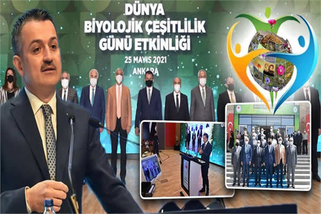 DÜNYADA BİYOÇEŞİTLİLİK AZALIRKEN TÜRKİYE DE ARTIYOR