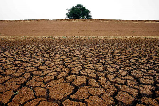 Tarımsal Üretim Dönemi Kuraklık Risk Tahmin Raporu Açıklandı