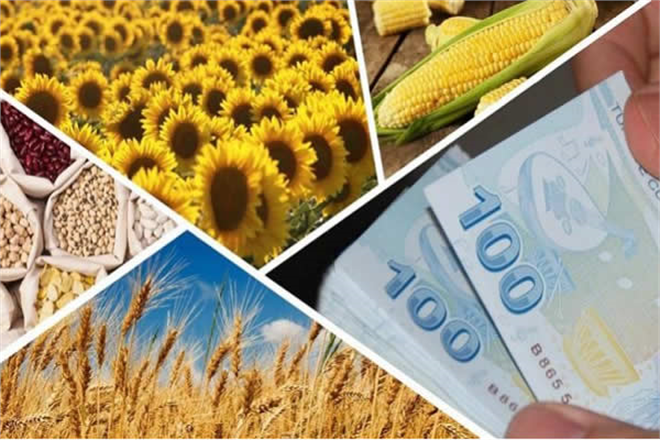 BİTKİSEL ÜRETİM DESTEKLERİ ÖDENİYOR