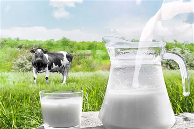 Soğutulmuş Çiğ Süt Tavsiye Fiyatı Açıklandı