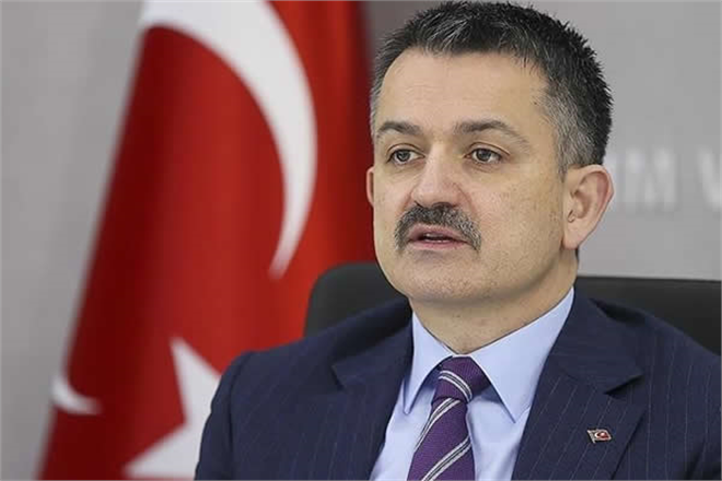 DESTEK ÖDEMELERİ BUGÜN BAŞLIYOR