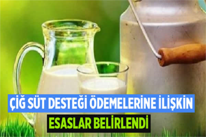 ÇİĞ SÜT DESTEĞİ ÖDEMELERİNE İLİŞKİN ESASLAR BELLİ OLDU
