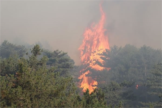 DENİZLİ DEKİ ORMAN YANGINLARI KONTROL ALTINA ALINDI