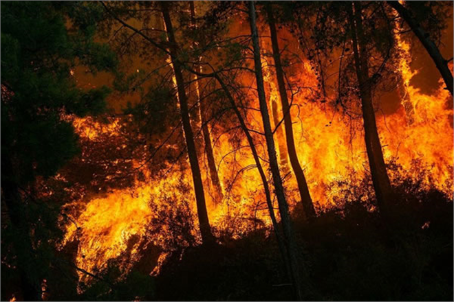 YANGINLARDAN ETKİLENEN 5 İLDE NAKDİ YARDIM BESLENME VE BARINMA FAALİYETLERİ ARALIKSIZ SÜRÜYOR