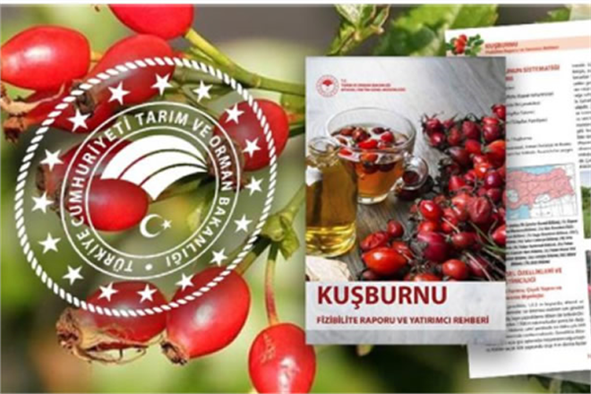 KUŞBURNU İÇİN FİZİBİLİTE RAPORU VE YATIRIMCI REHBERİ HAZIRLANDI