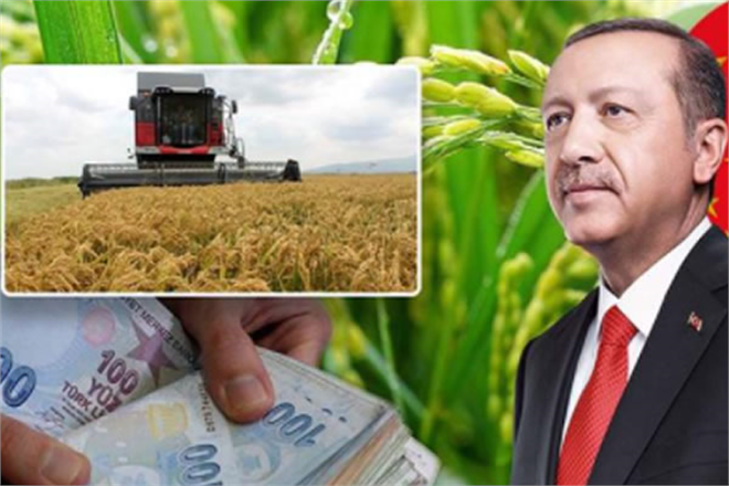 CUMHURBAŞKANI ÇELTİK ALIM FİYATLARINI AÇIKLADI