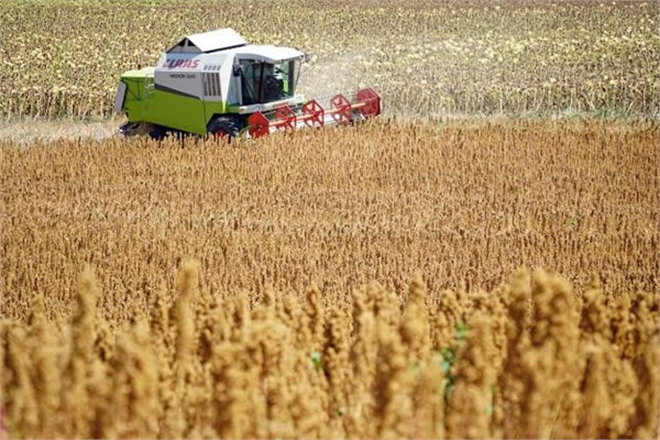 TARIM VE GIDA ÜRÜNLERİ DIŞ TİCARETİNE MEVCUT UYGULAMALAR ÇERÇEVESİNDE DEVAM EDİLECEK