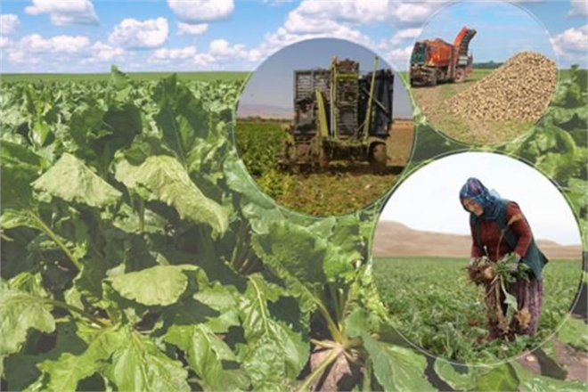 452 MİLYON LİRALIK AVANS HESAPLARDA