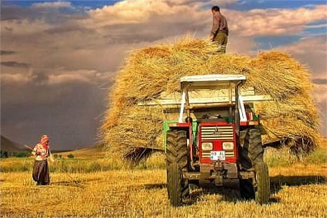 ÇKS BAŞVURU DÖNEMİ DÜZENLENDİ