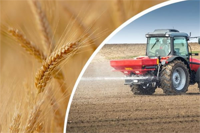 HUBUBATTA MAZOT GÜBRE DESTEKLERİ ERKEN ÖDENECEK