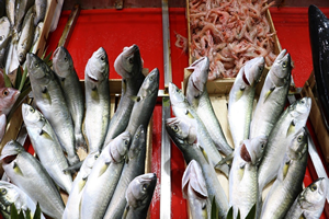 Su Ürünleri Desteklemesi İçin Üreticiler 23 Aralık a Kadar Başvuru Yapabilecek