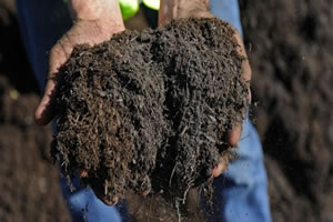 Tarım Kredi Limitli Değil Üreticinin İhtiyacı Kadar Girdi Sağlayacak