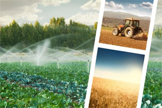 513 MİLYON LİRALIK TARIMSAL DESTEKLEME ÖDENİYOR