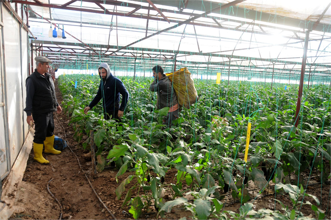 Sel Bahanesiyle Çiftçiyi Mağdur Etmeyin Uyarısı