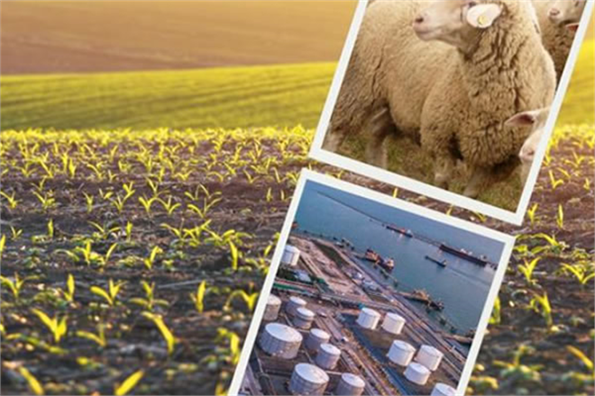 DESTEKLEME ÖDEMELERİ BUGÜN YATIRILIYOR