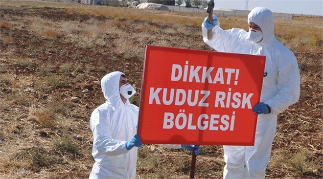 Adıyaman da 3 Köy Kuduz Nedeniyle Karantinaya Alındı