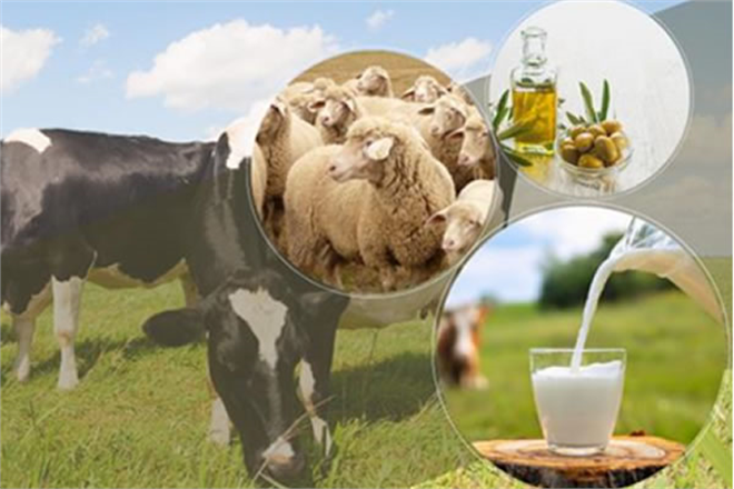 1 3 MİLYAR LİRALIK DESTEK BUGÜN ÖDENİYOR