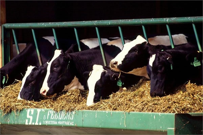 Yem Katkı Maddeleri Kararı Resmi Gazete de