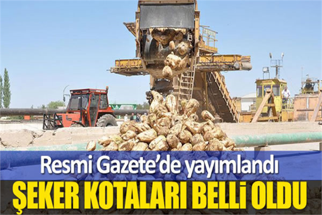 Şekerde 2022 2023 Dönemi Kotaları Belirlendi