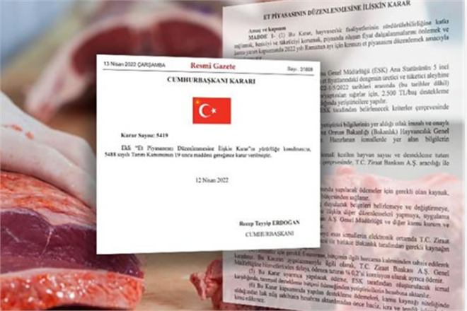 SIĞIR BAŞINA 2 BİN 500 LİRA DESTEK ÖDENECEK!