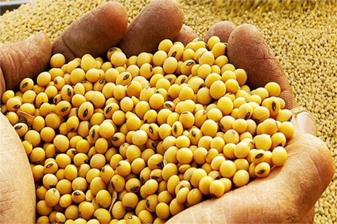 GDO Kararı Resmi Gazete`de!