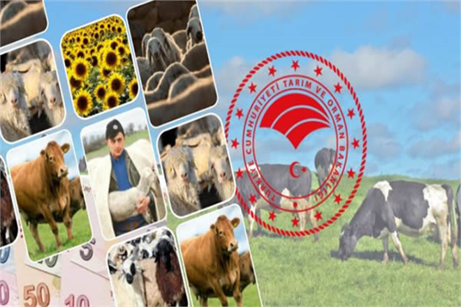 DESTEK ÖDEMELERİ BUGÜN BAŞLIYOR