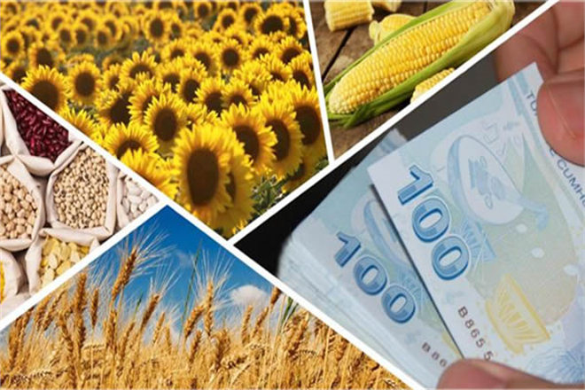 DESTEK ÖDEMELERİ BUGÜN BAŞLIYOR