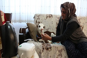 Tarımsal Girişimci Fatma Öncel in Kınalı Kızı