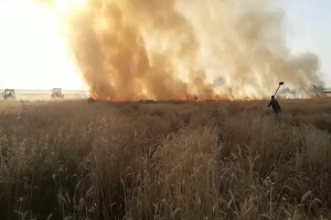 Hasat Zamanı Ekin Yangınlarına Dikkat