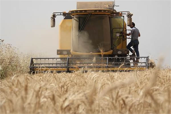 TMO HUBUBAT ALIM FİYATLARI GÜNCELLENDİ