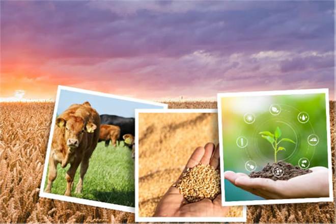 DESTEKLEMELER BUGÜN ÖDENİYOR