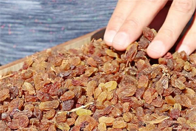 TMO Yeni Sezon Kuru Üzüm Alımına Başlıyor