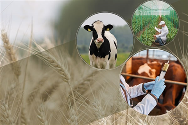 TARIMSAL DESTEKLER BUGÜN ÖDENİYOR