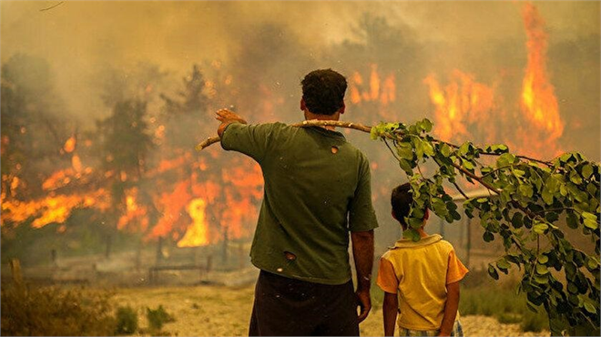 BAKAN KİRİŞCİ: "ANTALYA`DA 1,5 YILDA YANAN 60 BİN HEKTARLIK ORMANIN YÜZDE 95`İ YENİDEN YEŞİLLENDİRİLDİ"