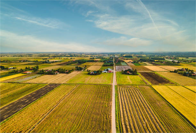 Tarımda Çeşitlilik İklim Krizine Karşı Savunma Duvarı Oluyor: Birden Fazla Ürün Ekimi