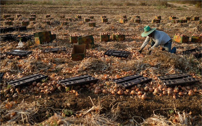 İsrail Ürünlerine Destek İçin Perakende Zincirlerini ve Tüketicileri Yönlendiriyor