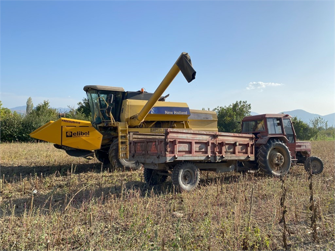 Düzensiz Yağışlara Rağmen Üretim Devam Ediyor