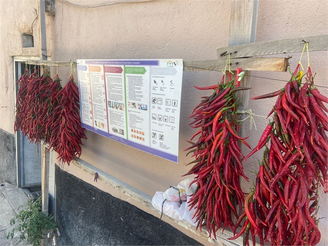 Bilecik te İyi Tarım Uygulamaları Projeleri Tarım ve Orman Bakanlığı Tarafından Onaylandı