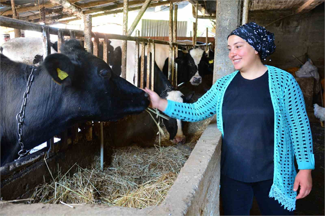 Engelli ve Eski Hükümlülere Altın Fırsat 2024 Hibe Desteği Başvuruları Açıldı