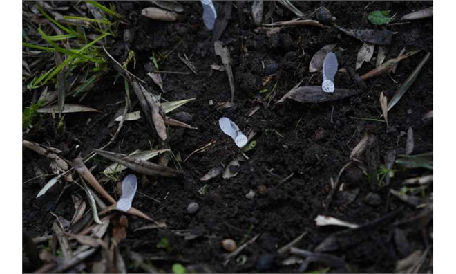 Yapay Zeka Tarıma El Attı Acer i Seed Çevresel Değişkenleri İzleyen Yenilikçi Bir Çözüm