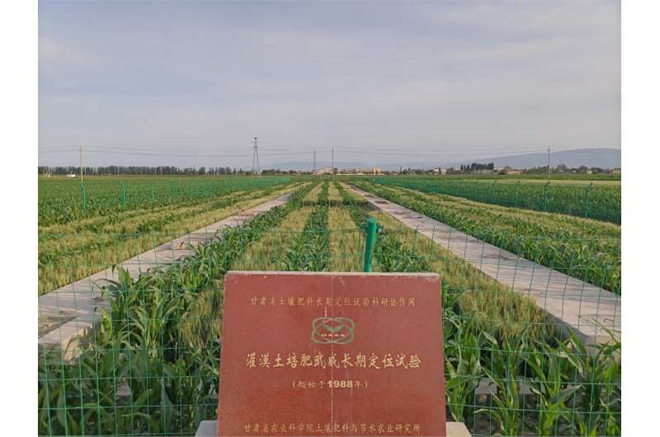 Çin`in Tarımında Yeni Bir Devrim