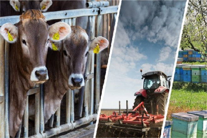 BAKANDAN DEPREMZEDE ÇİFTÇİLERE AÇIKLAMA