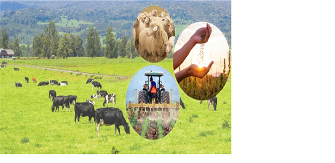 49 MİLYON 411 BİN LİRALIK DESTEKLEME ÖDENİYOR