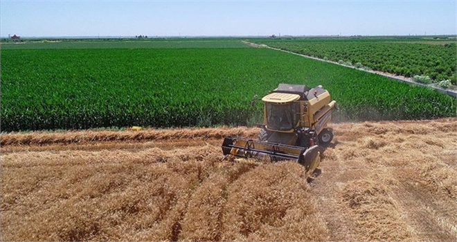 DEPREMDEN ETKİLENEN ÇİFTÇİLERİN MAZOT VE GÜBRE DESTEKLERİ NAKİT ÖDENECEK