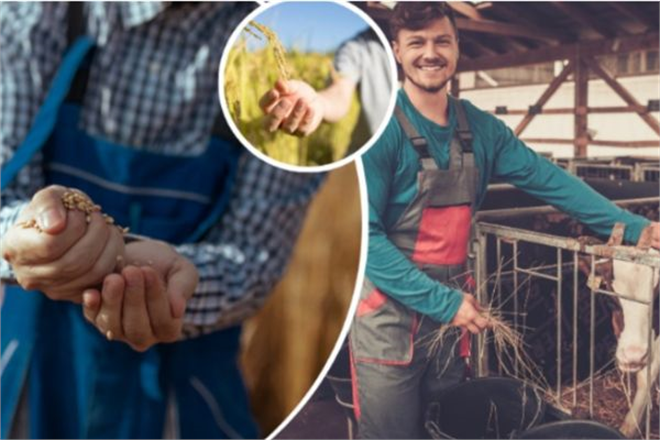 UZMAN ELLER PROJELERİNE EK SÜRE İMKANI GETİRİLDİ