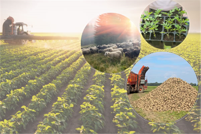 54 7 MİLYON LİRALIK DESTEKLEME ÖDENİYOR