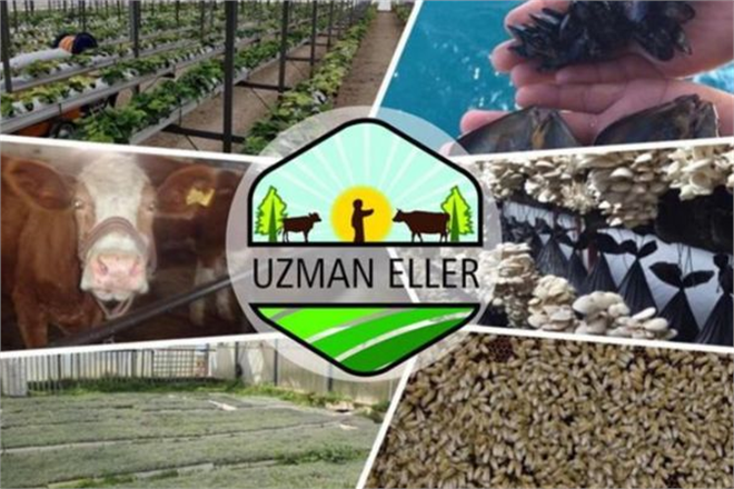 UZMAN ELLER PROJE BAŞVURULARI BAŞLADI