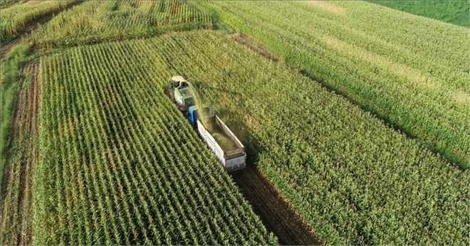 TÜRK ÖZEL SEKTÖRÜ YURT DIŞI TARIMSAL YATIRIMLARINI ÜLKE MASALARI İLE ARTIRACAK